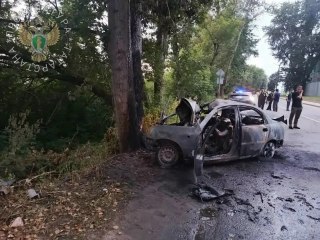 Трагедия в Зеленодольском районе: шесть жертв ДТП