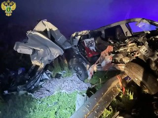 Трагическая авария в Марий Эл: погибла пассажирка, водитель в реанимации